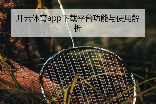 开云体育app下载平台功能与使用解析