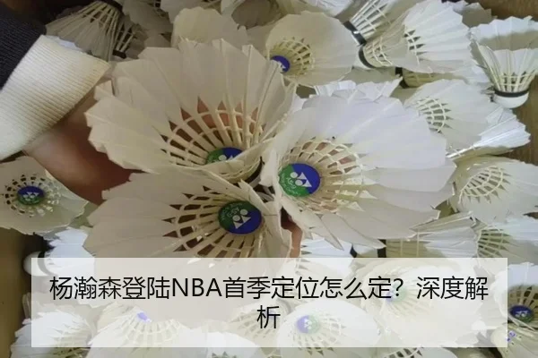杨瀚森登陆NBA首季定位怎么定？深度解析